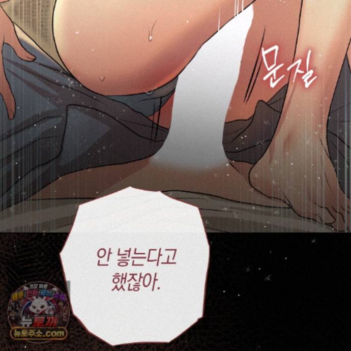 172.jpg