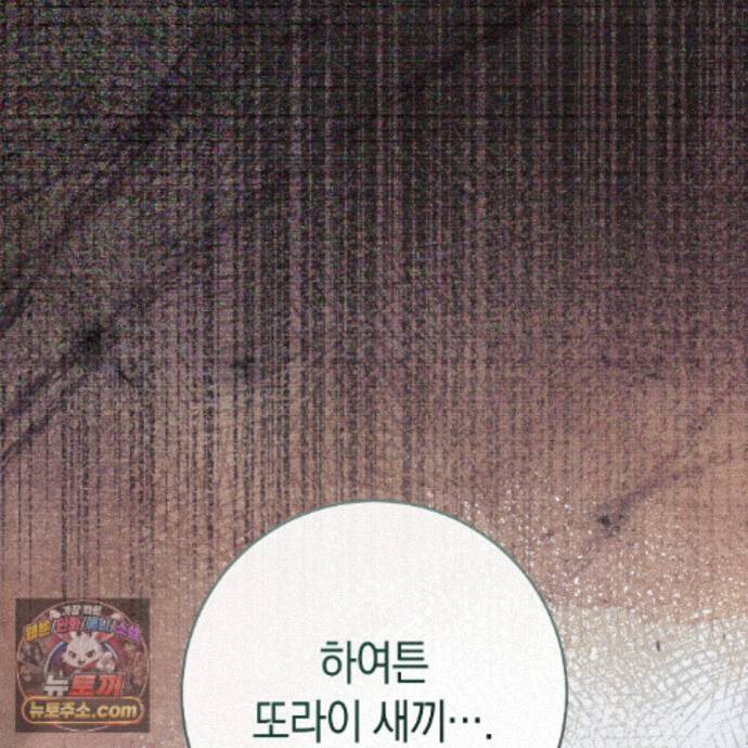 118.jpg