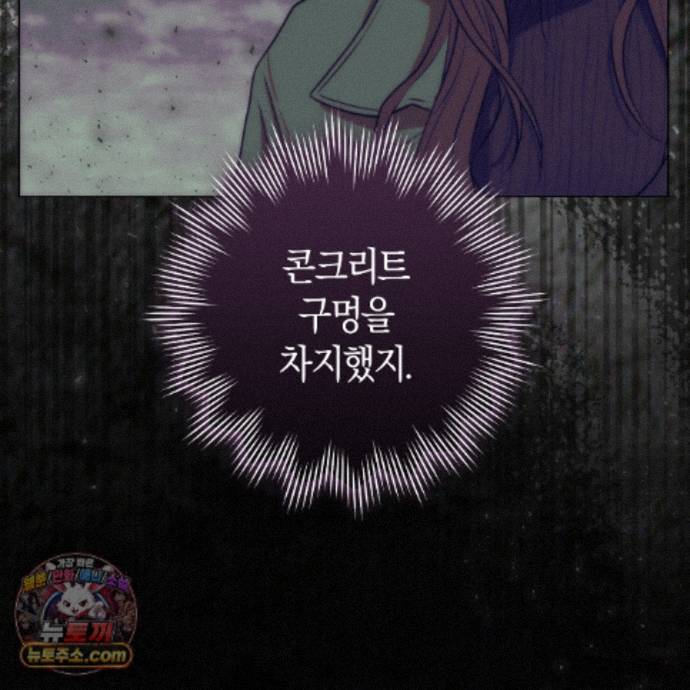 136.jpg