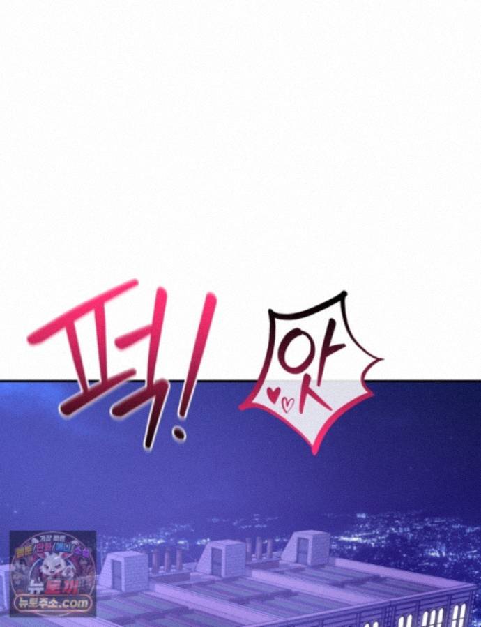 113.jpg