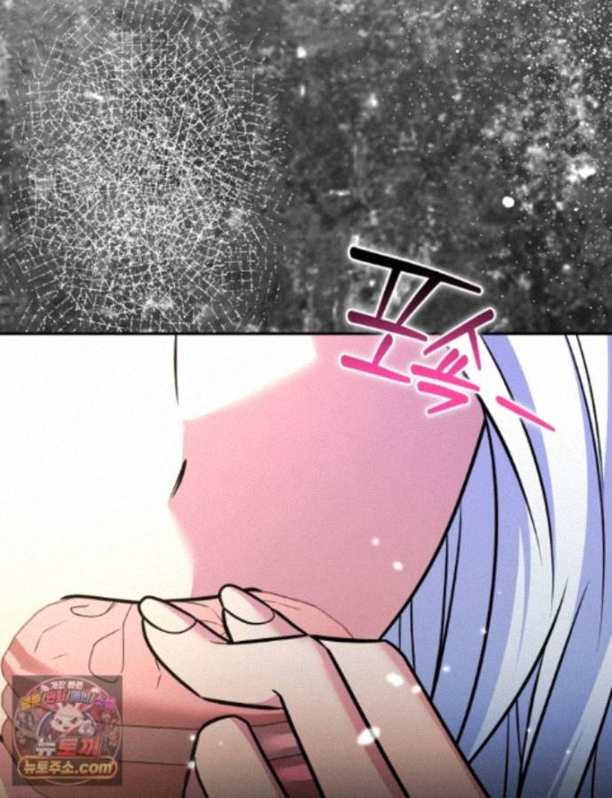113.jpg
