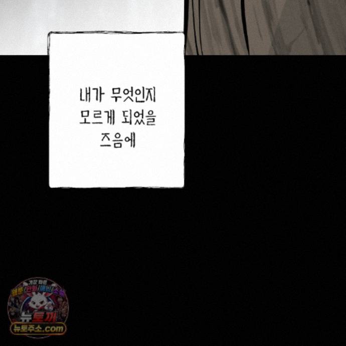 101.jpg
