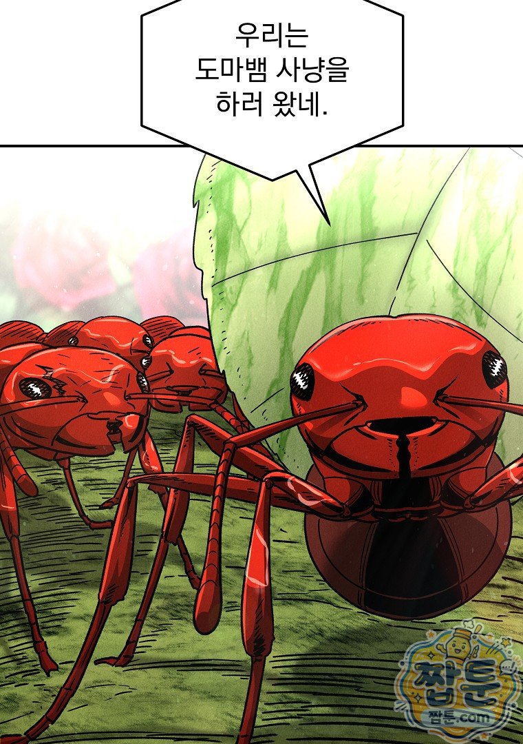 039.jpg