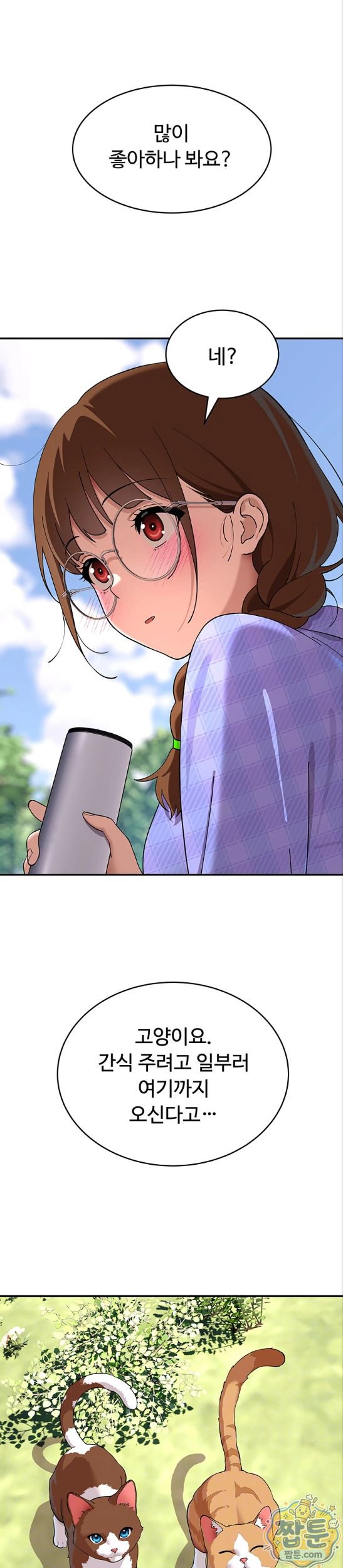 005.jpg
