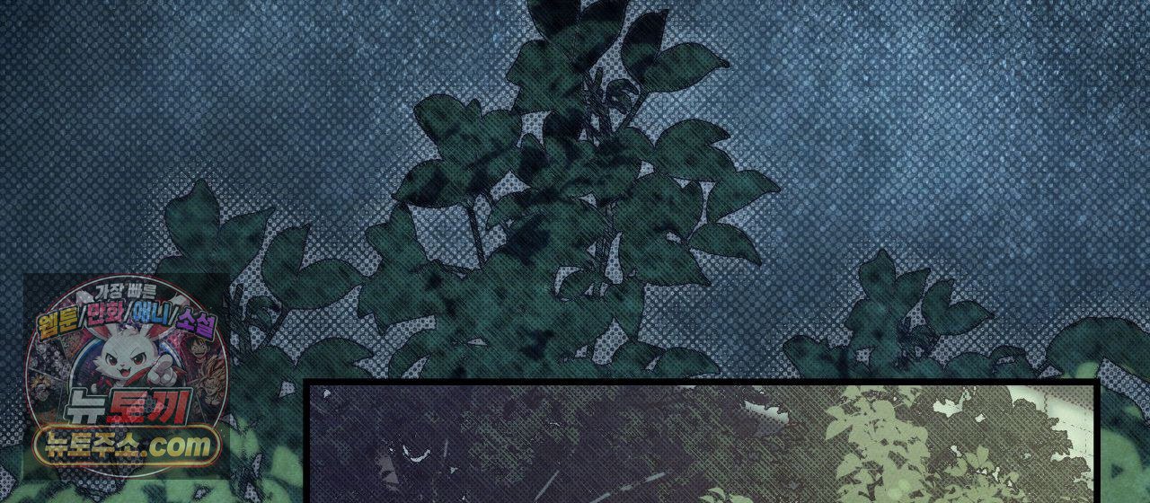 040.jpg