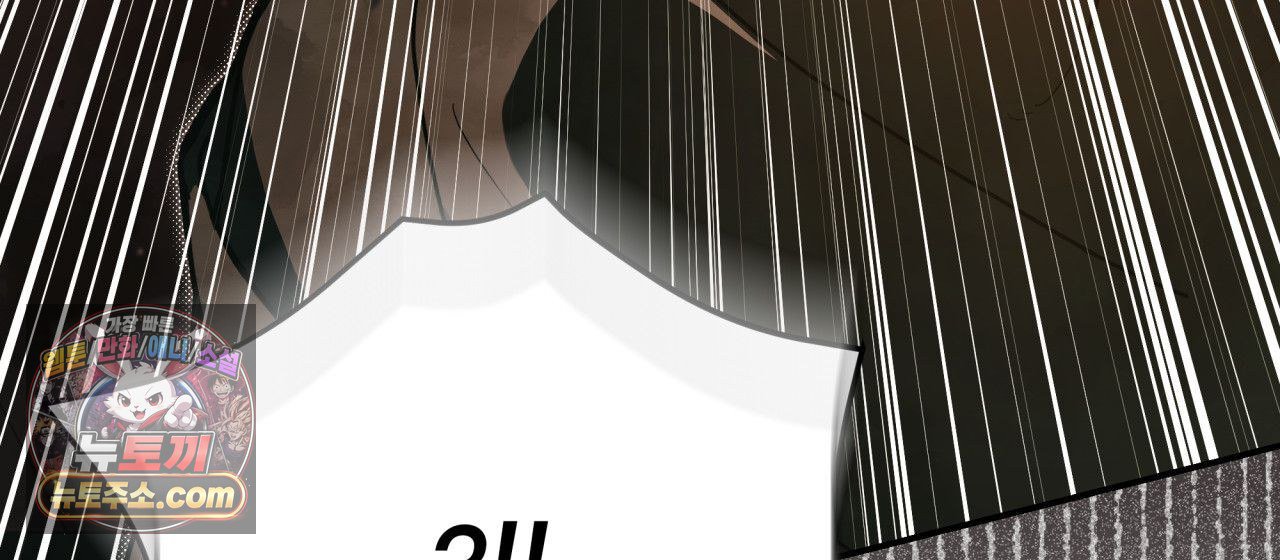 164.jpg