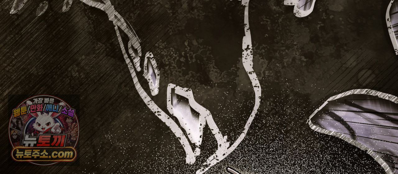 050.jpg