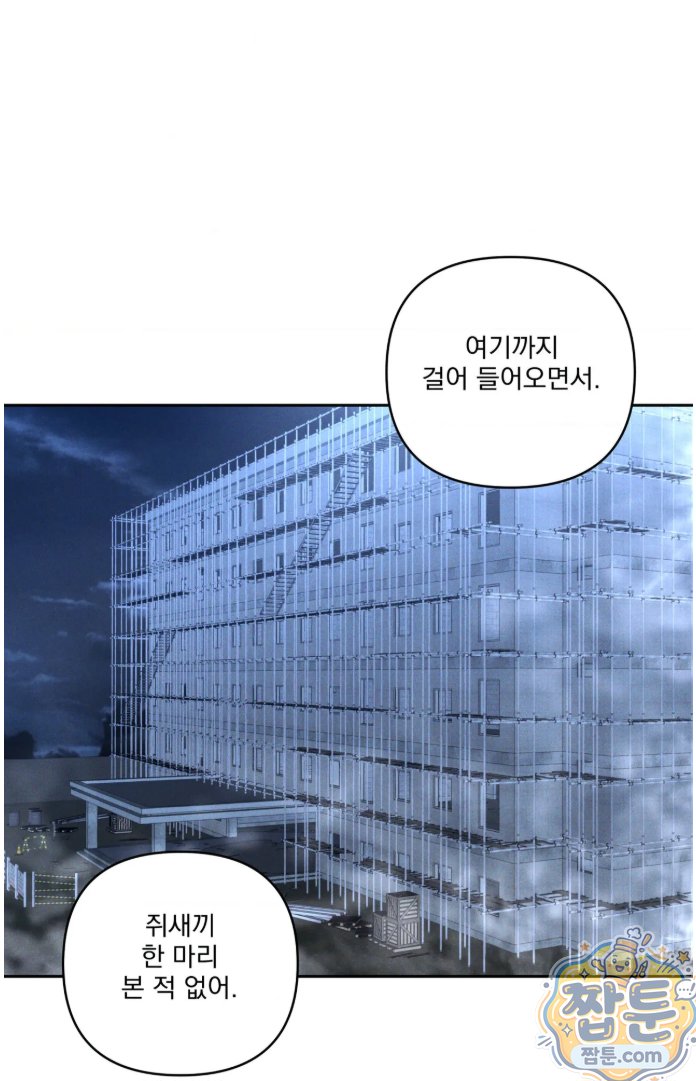 008.jpg