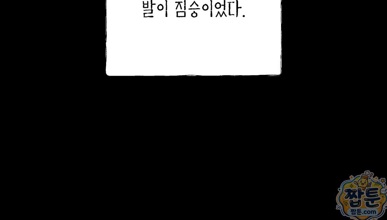 163.jpg