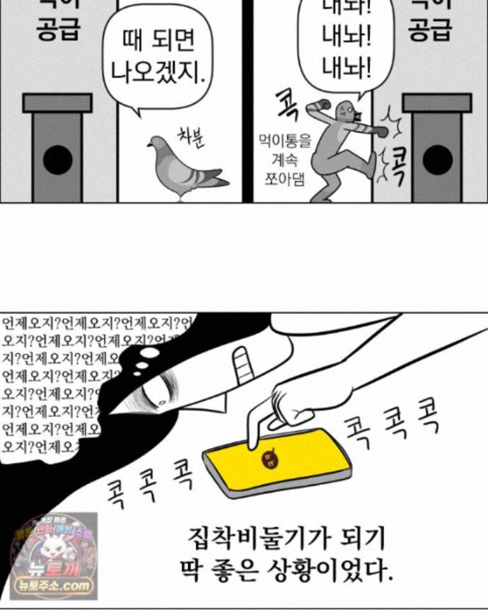 008.jpg