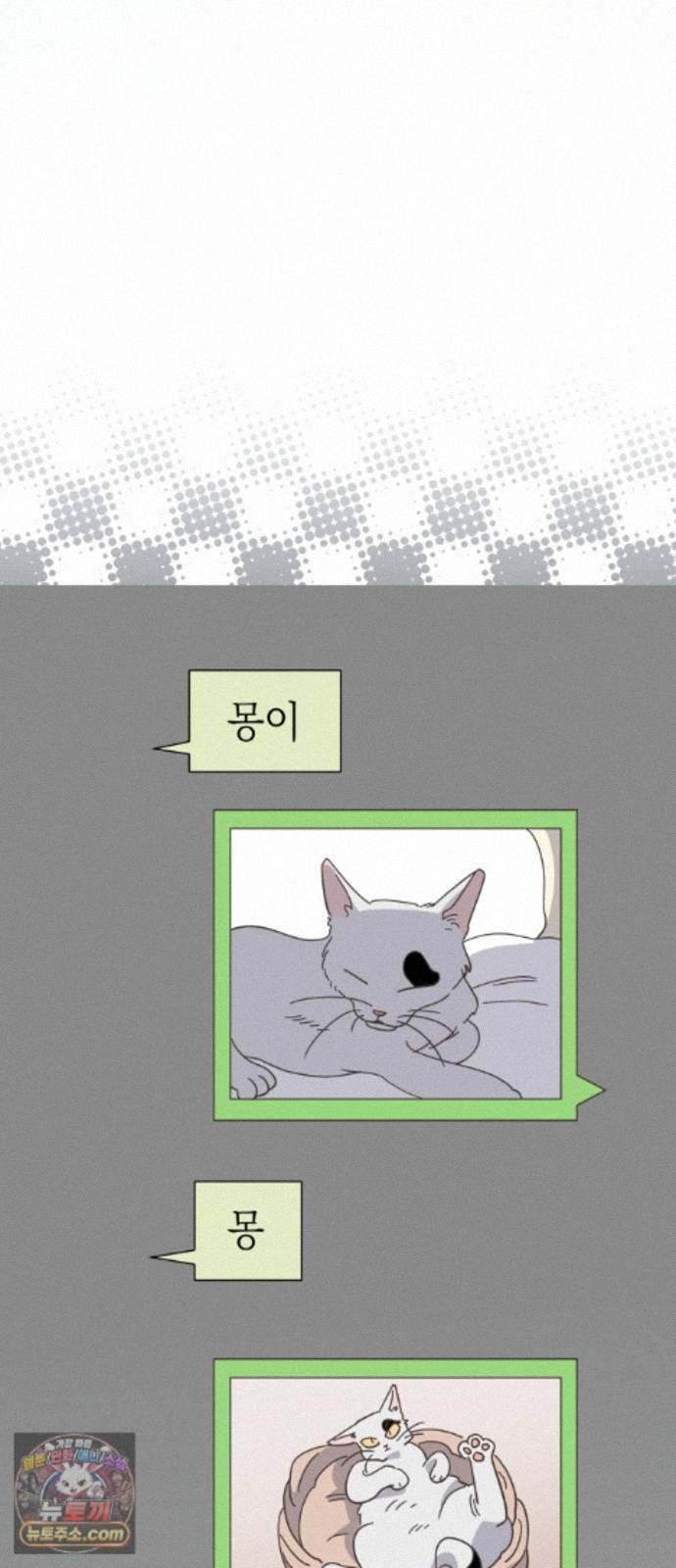 032.jpg