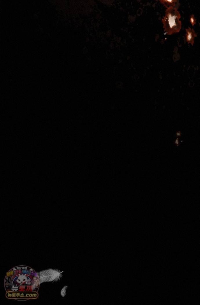 009.jpg