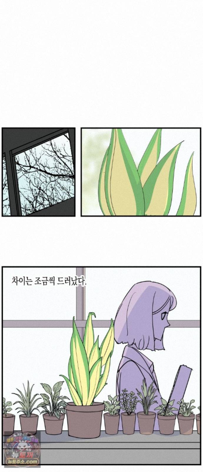 003.jpg