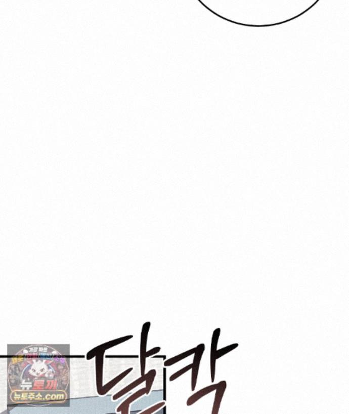 127.jpg