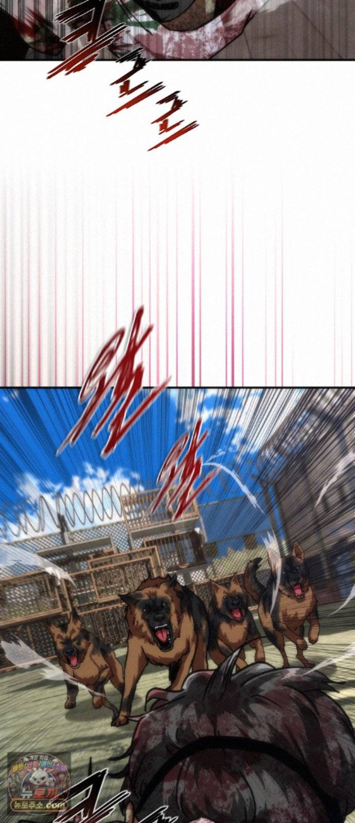 005.jpg