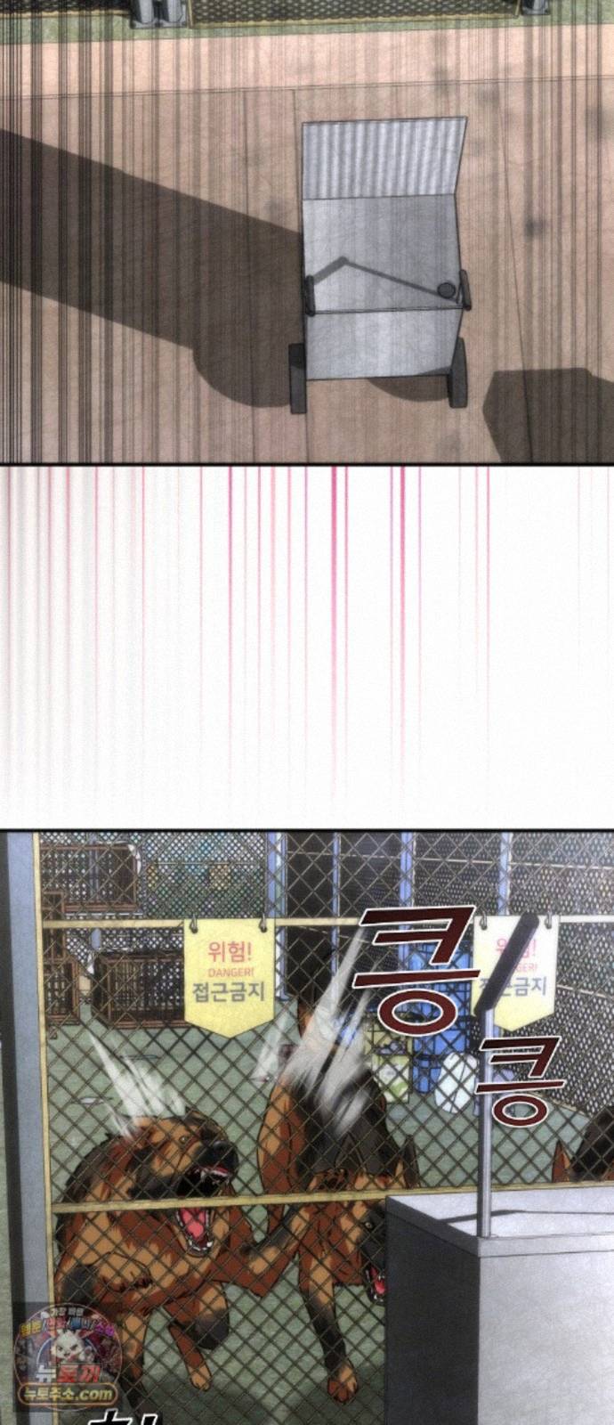 008.jpg