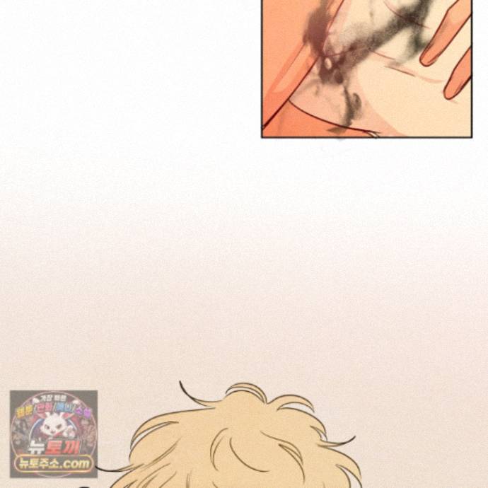 103.jpg
