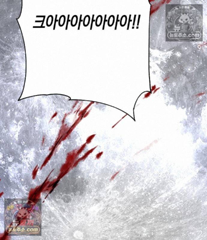 142.jpg