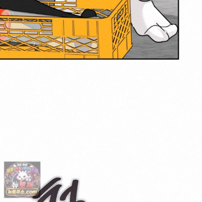 138.jpg