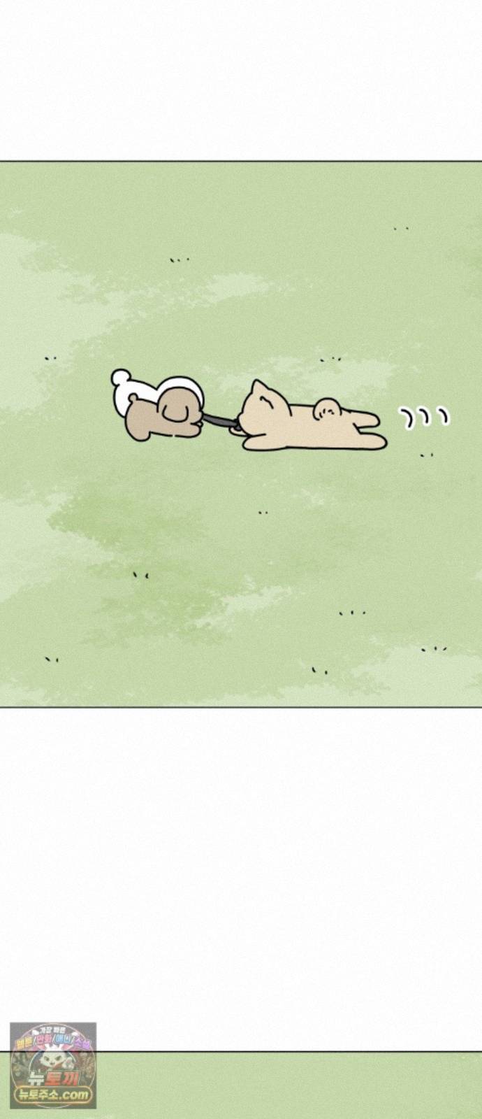 064.jpg