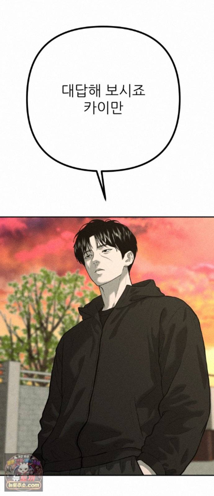 003.jpg