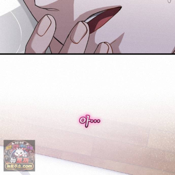 219.jpg