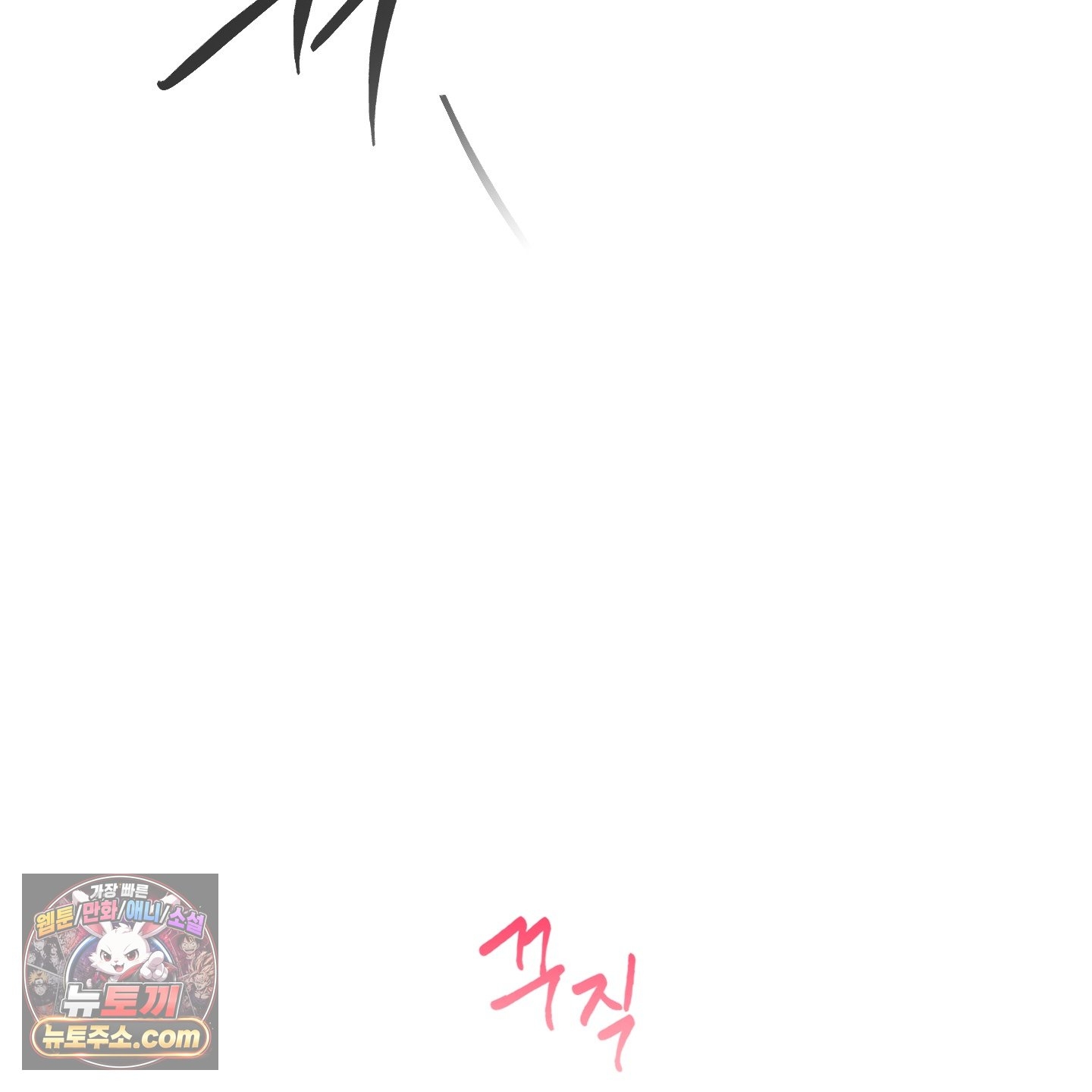 146.jpg