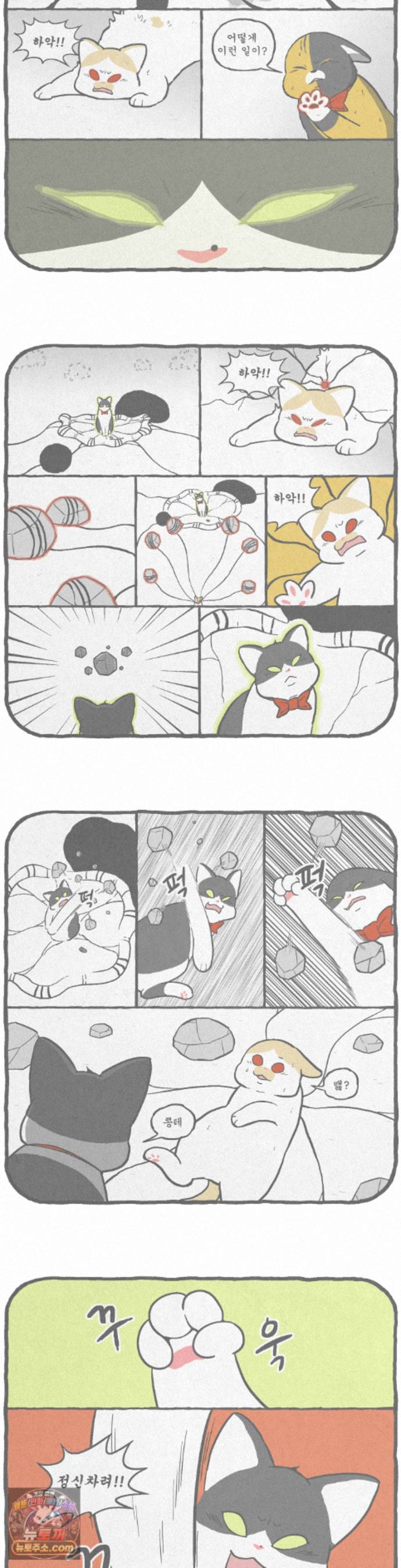 003.jpg