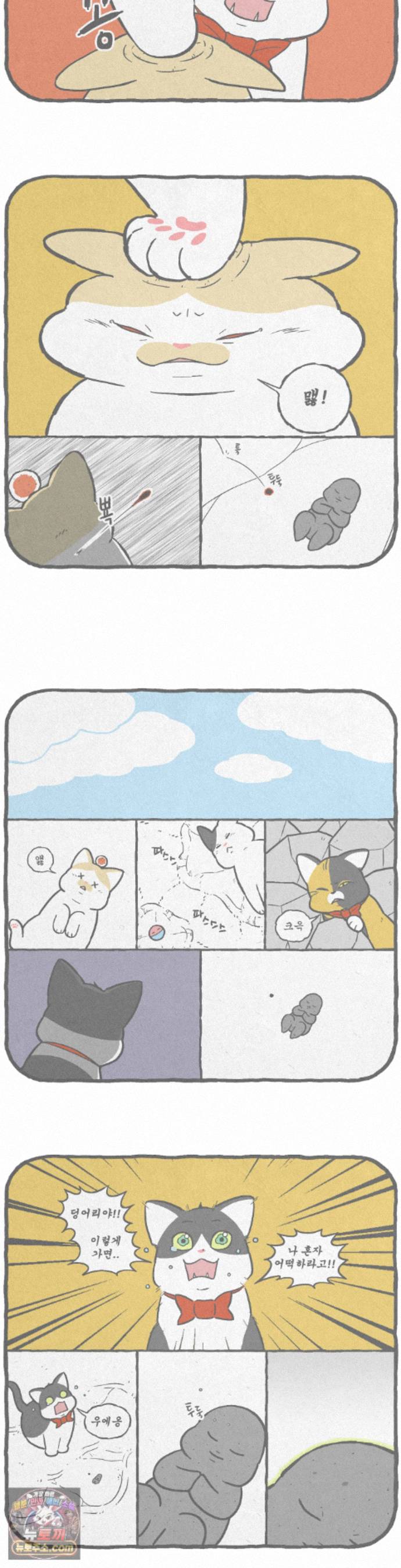 004.jpg