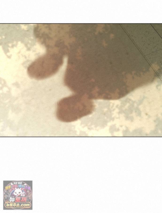 152.jpg