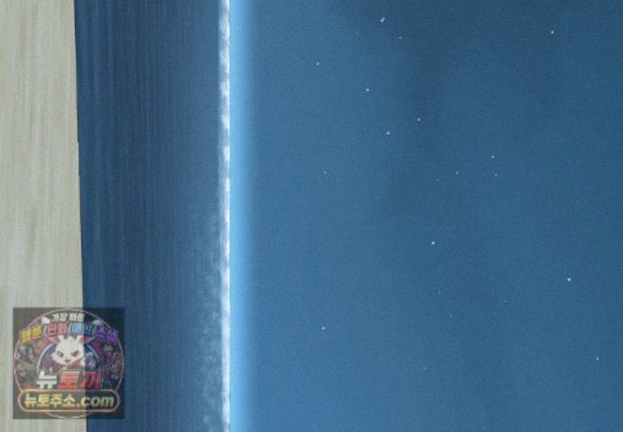 217.jpg