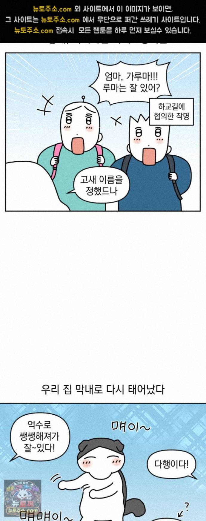 010.jpg