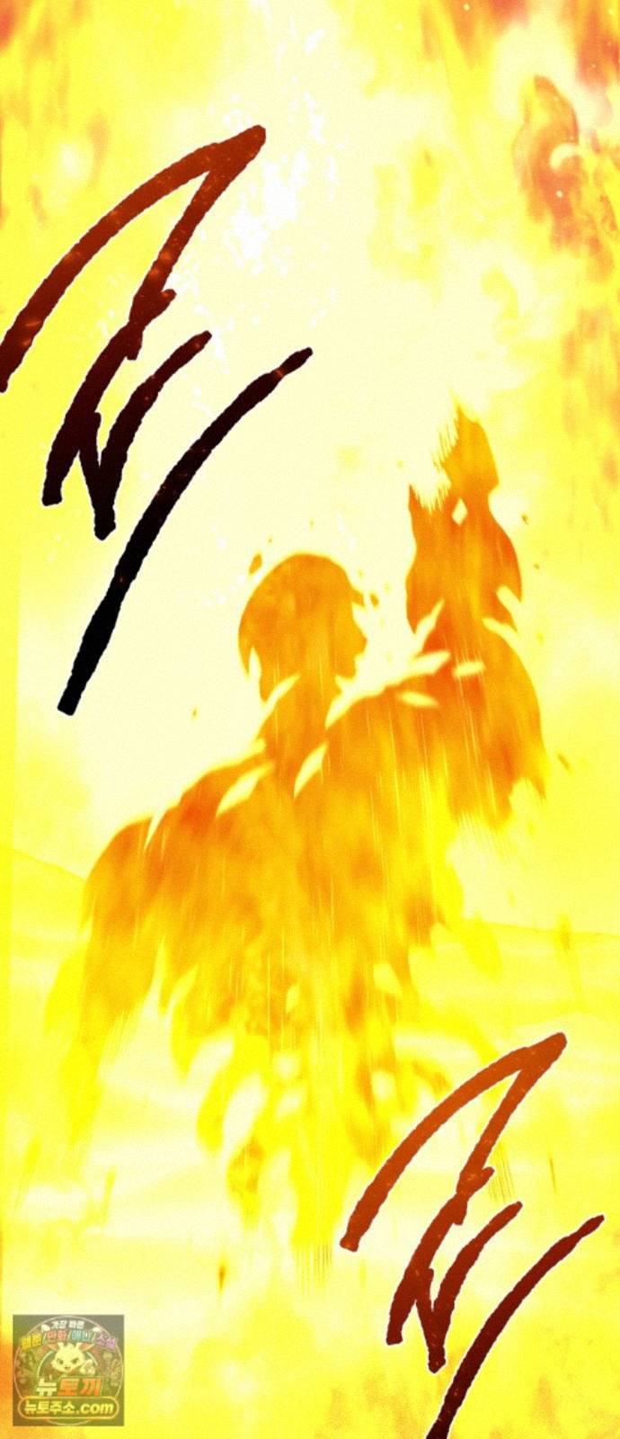 143.jpg