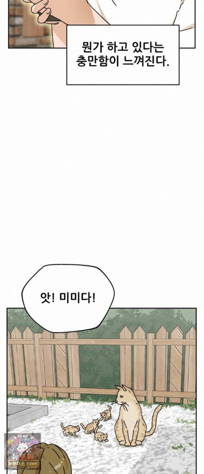 011.jpg