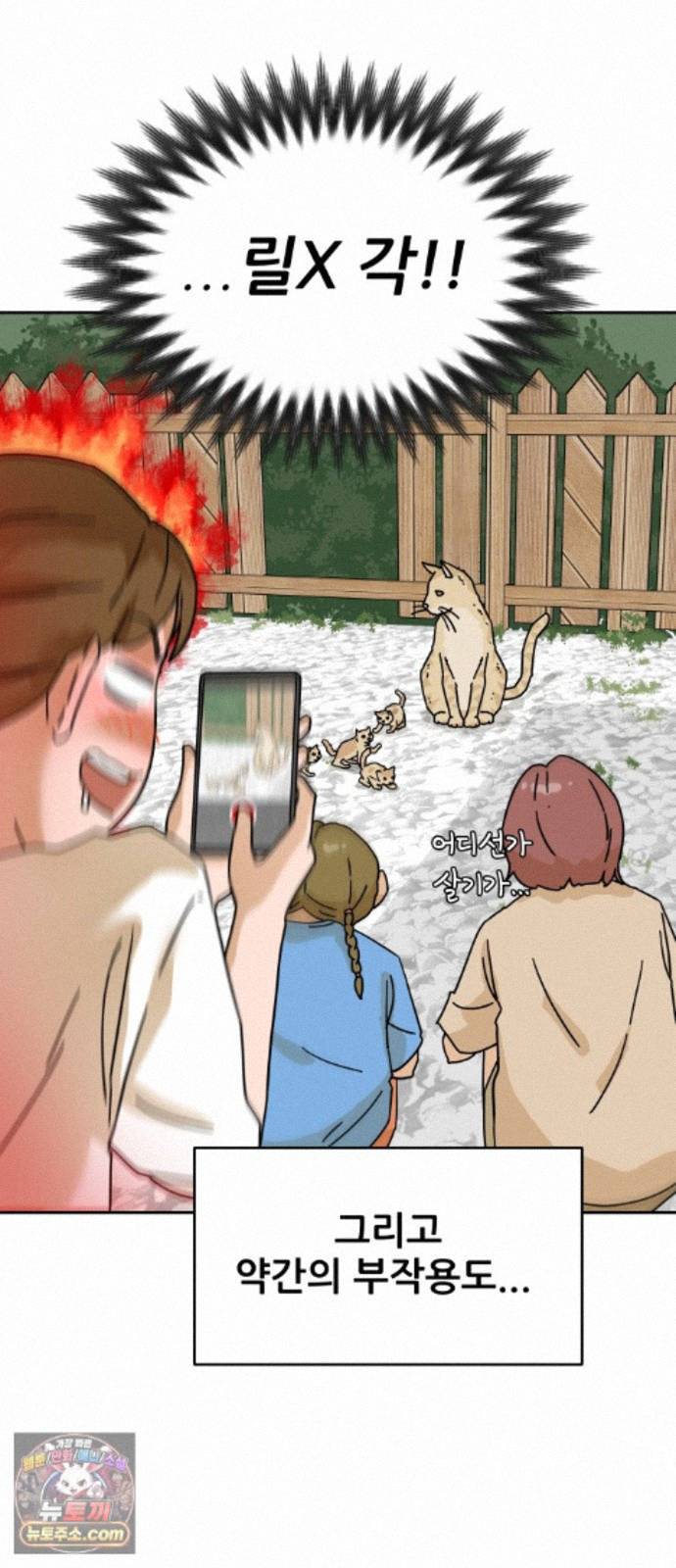 014.jpg