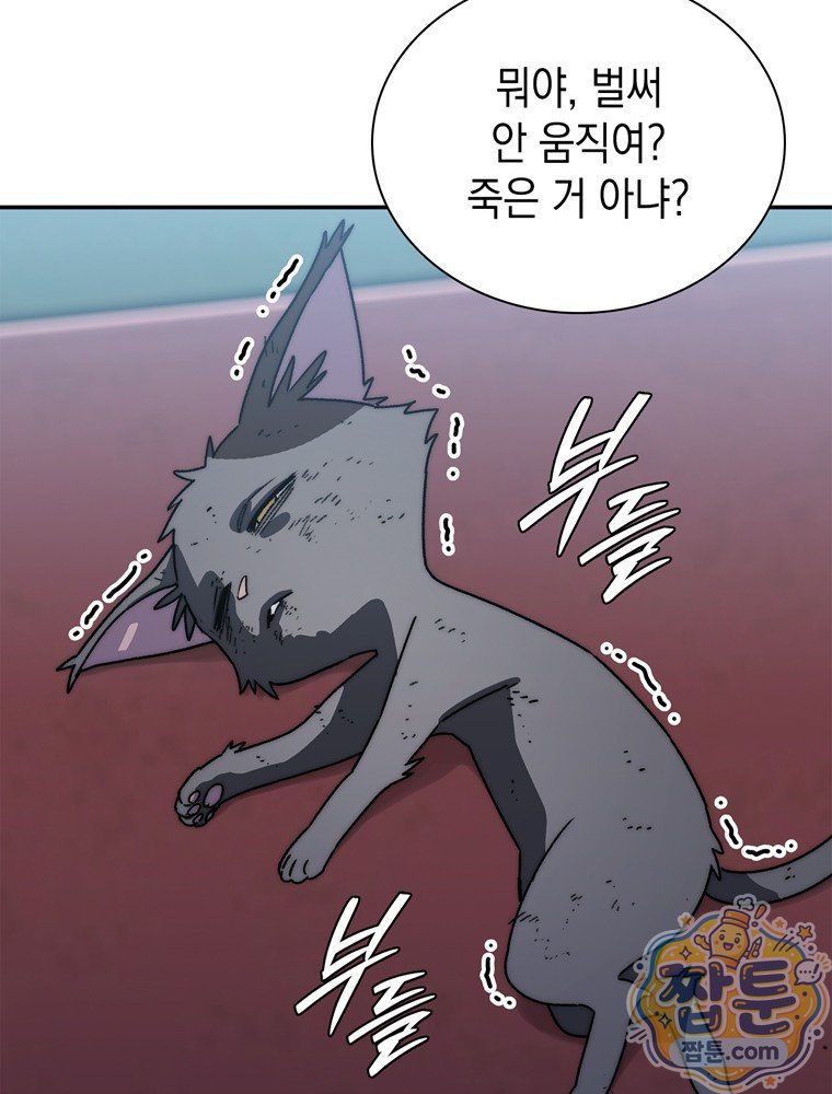 003.jpg