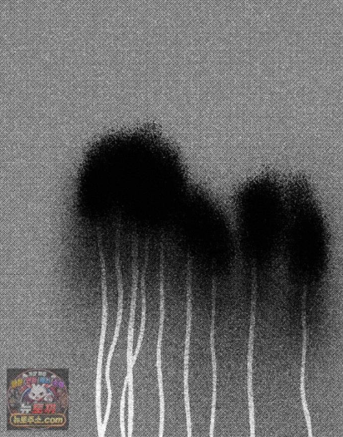 080.jpg
