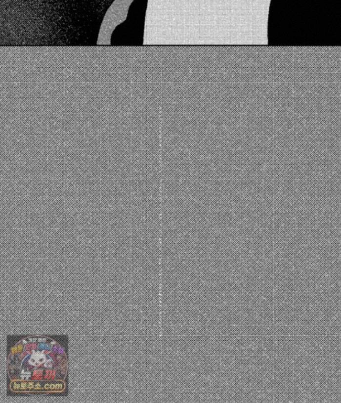 008.jpg