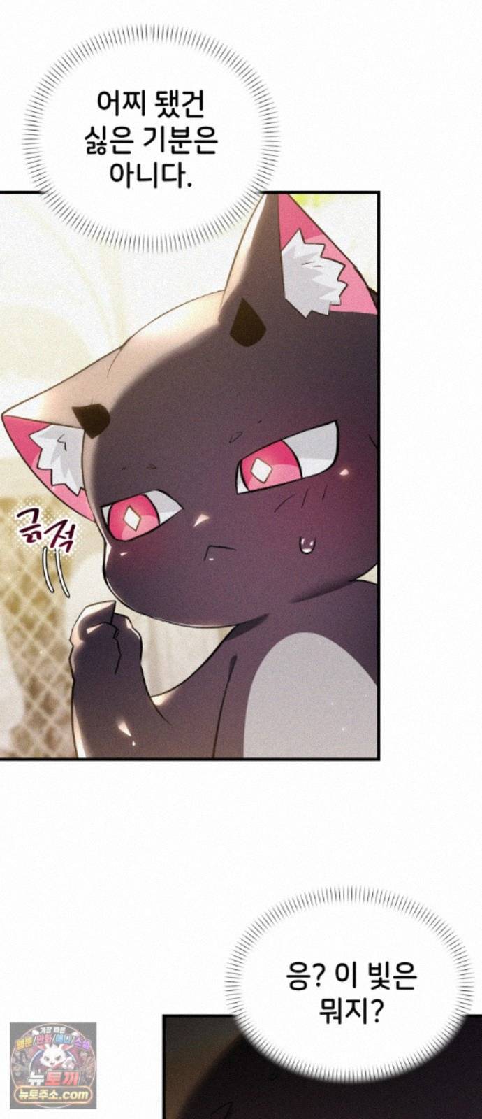 071.jpg