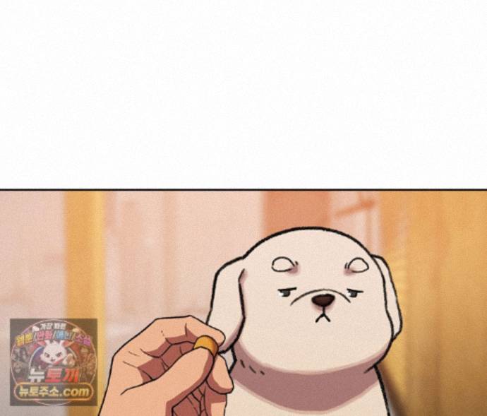 110.jpg