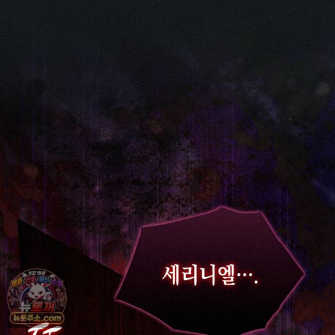 223.jpg