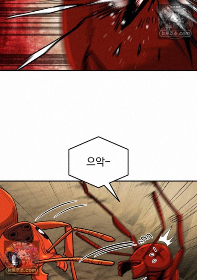 052.jpg