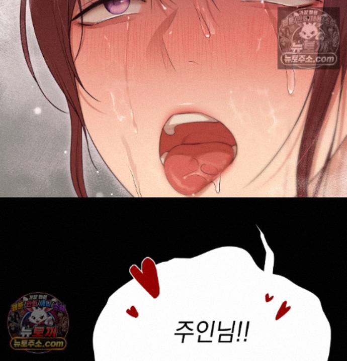 115.jpg