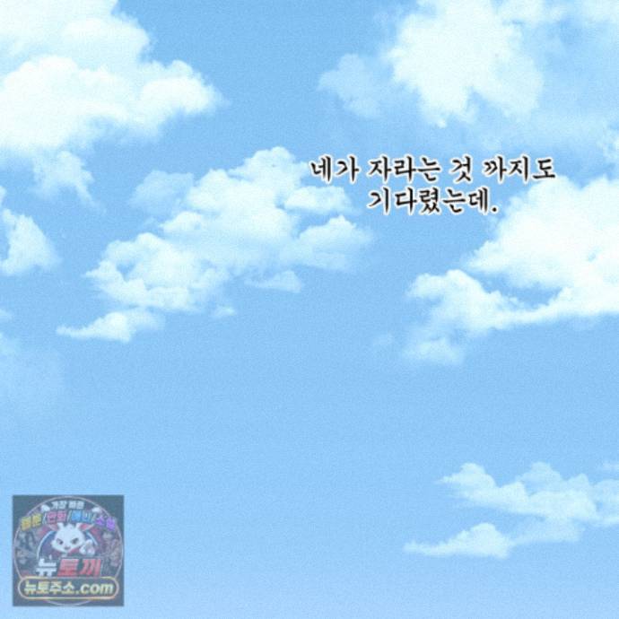 128.jpg