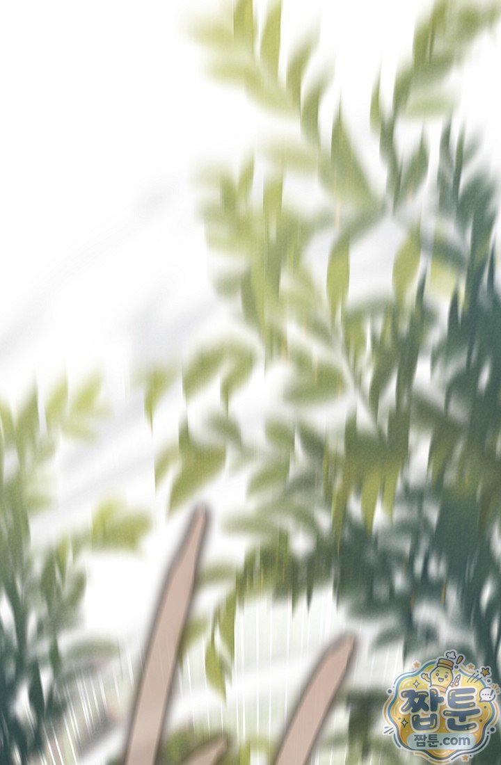 011.jpg