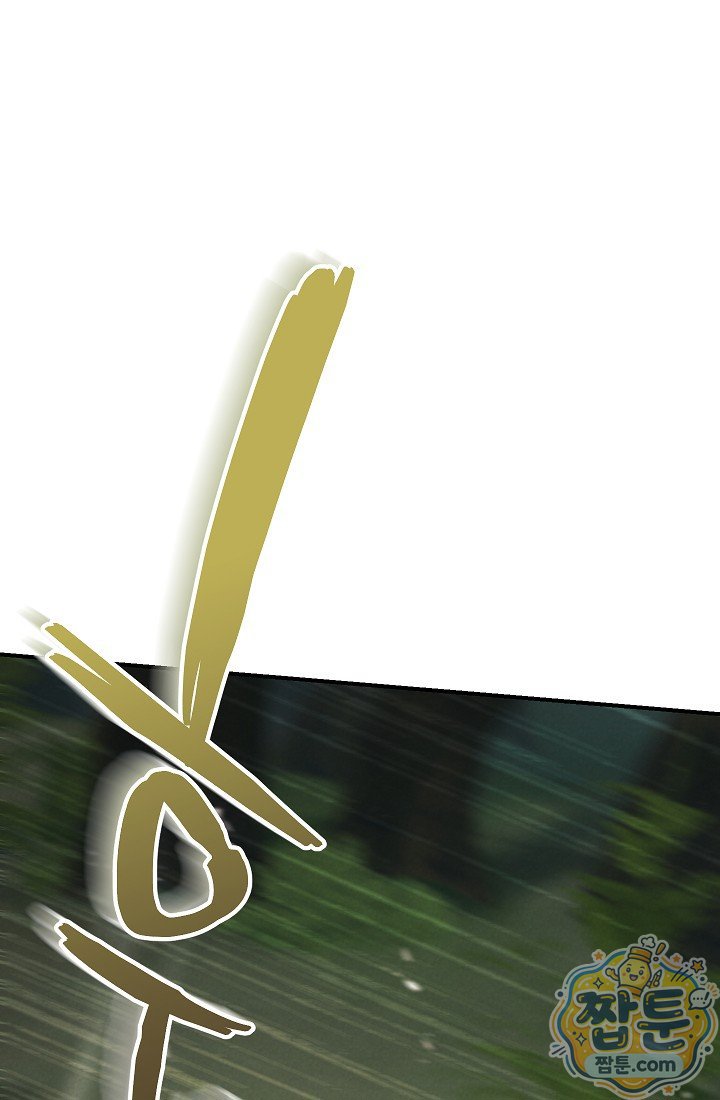 041.jpg