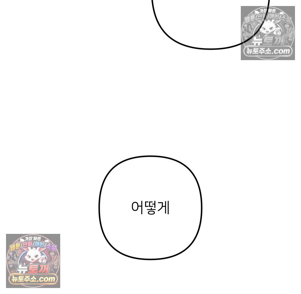 113.jpg
