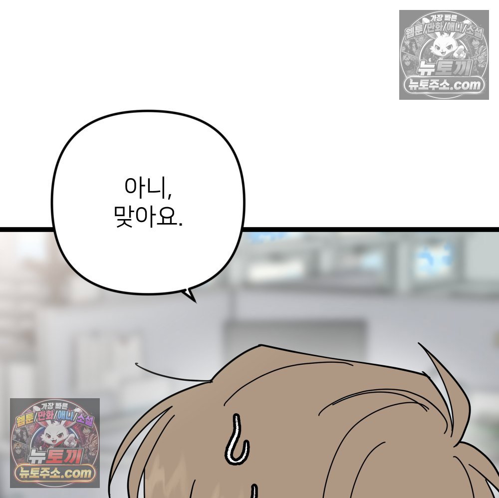 113.jpg