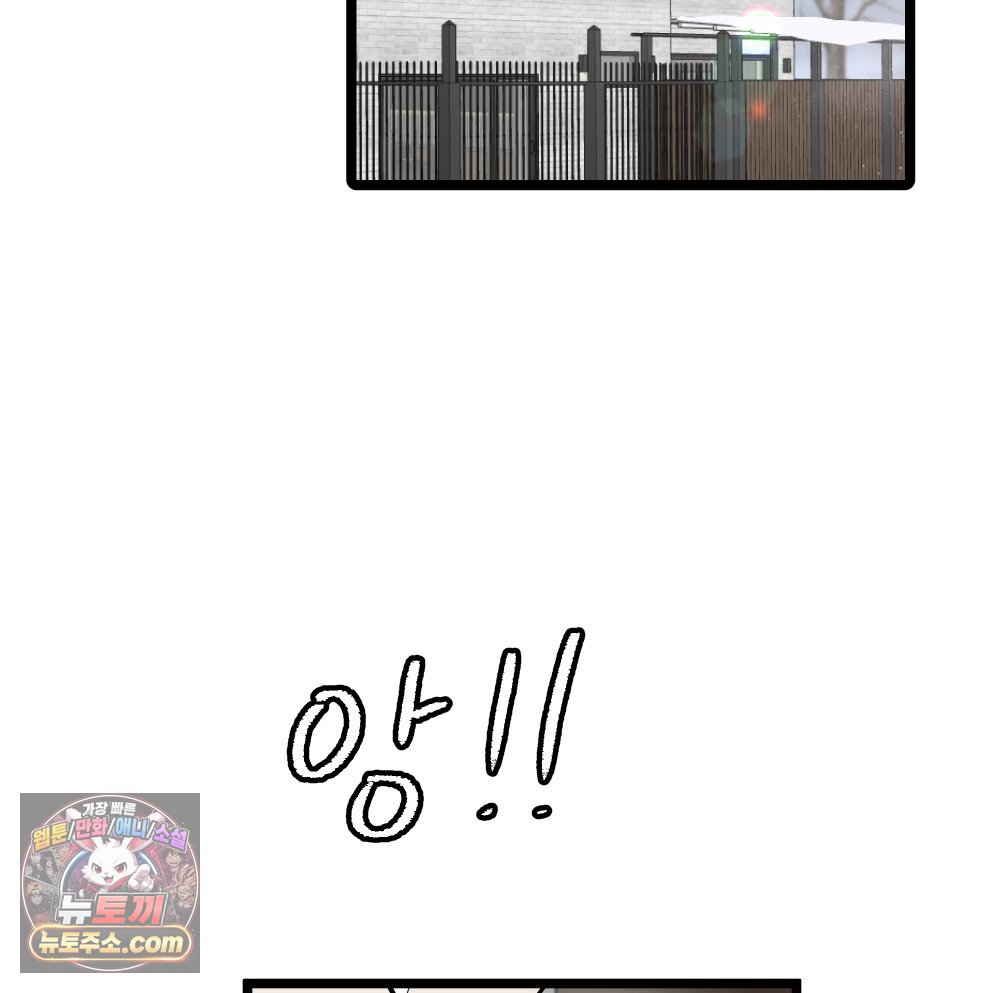 003.jpg