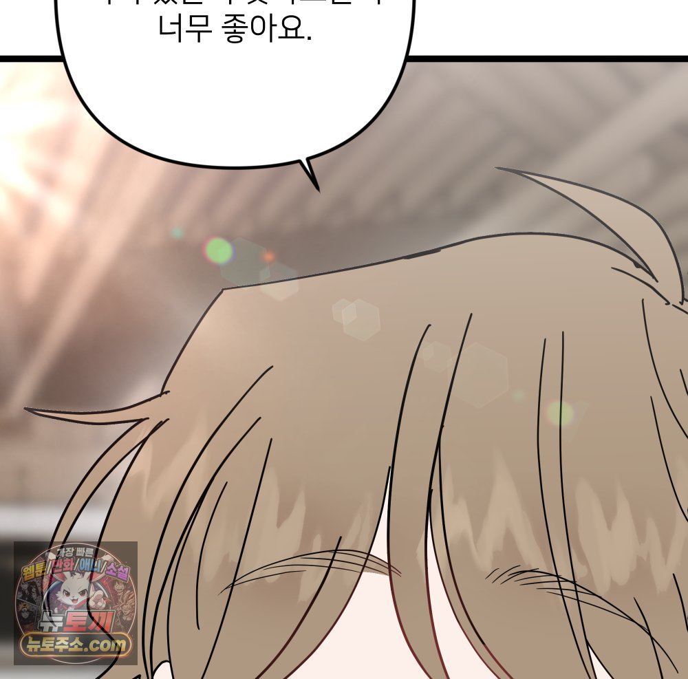 113.jpg